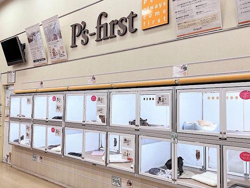 P's first／久里浜店