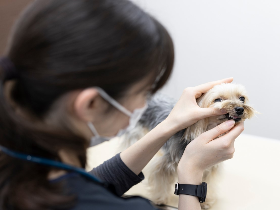 福岡ウェルネス管理センター