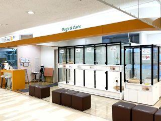 ペッツファースト高槻店