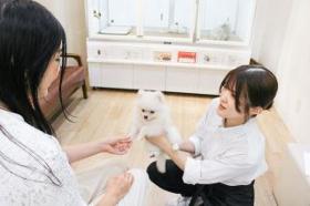 さいたま新都心店