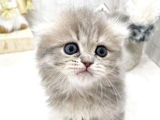 コールセンター